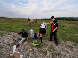 Maaskentj-Marathon 2012